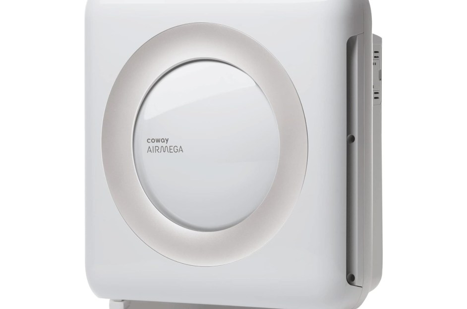 Best Air Purifiers Review: 3 Options for Allergies, Pets & More