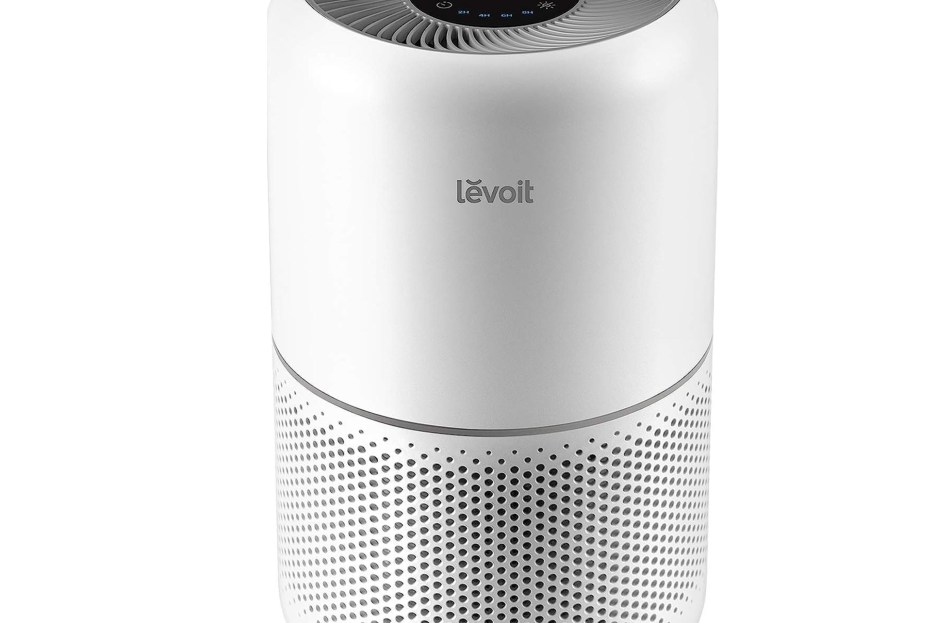 Best Air Purifiers Review: 3 Options for Allergies, Pets & More