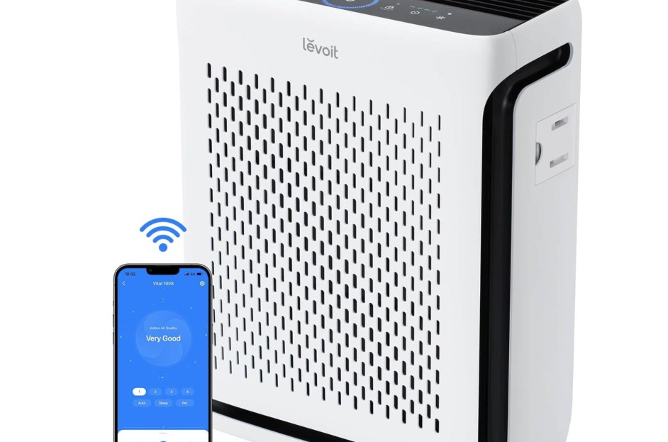 Best Air Purifiers Review: 3 Options for Allergies, Pets & More