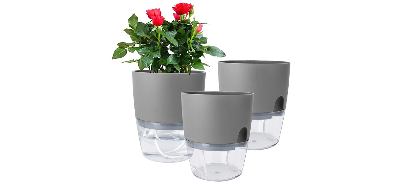 Three gray and clear planters with pink flowers in one planter.