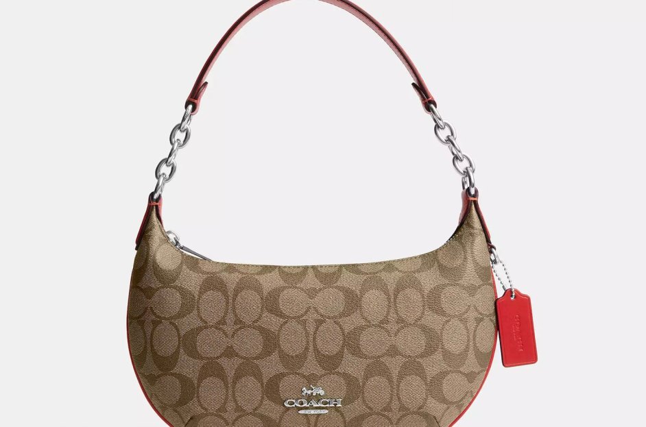 Surprise Sale: Coach Payton Hobo Bag Starting at Just $98.40