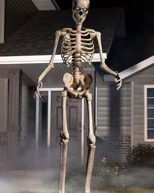 20 Best Halloween Decorations 2024 for Indoor & Outdoor Use