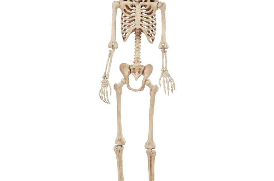 Best Halloween Decorations 2024: The 12-Foot Skeleton Is 50% Off