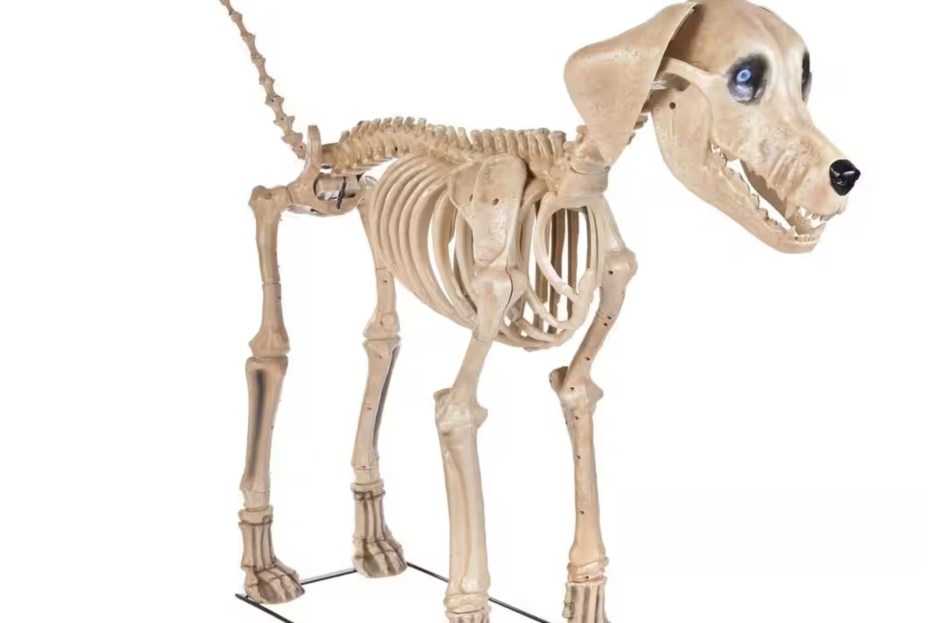 Best Halloween Decorations 2024: The 12-Foot Skeleton Is 50% Off