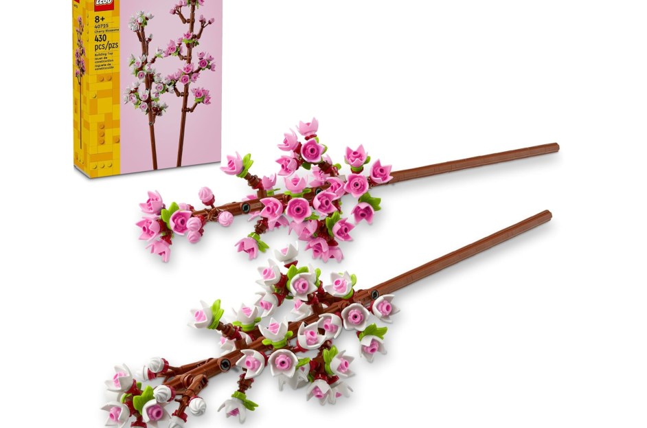 20 Best Last-Minute Valentine's Day Gifts Under $100: Shop Online