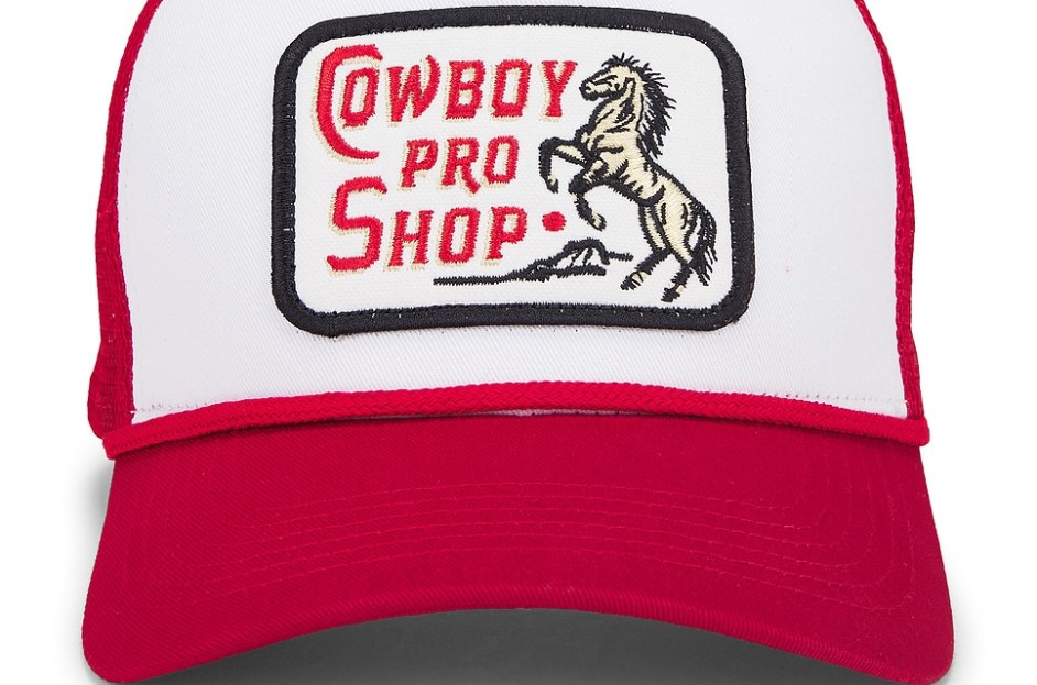 17 Western-Themed Outfit Ideas to Level Up Your Cowboy Carter Look