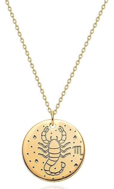 Twin With Your Fave Musician With These Amazon Zodiac Signs Necklaces